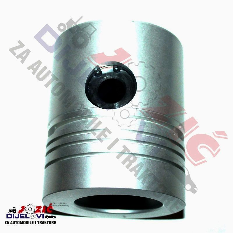 Daisy on the Ohoopee